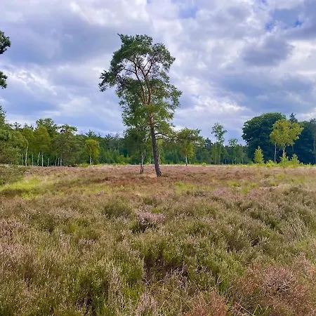 Knus Huisje Op Kindvriendelijk Park Met Zwembad Otterlo Exterior photo