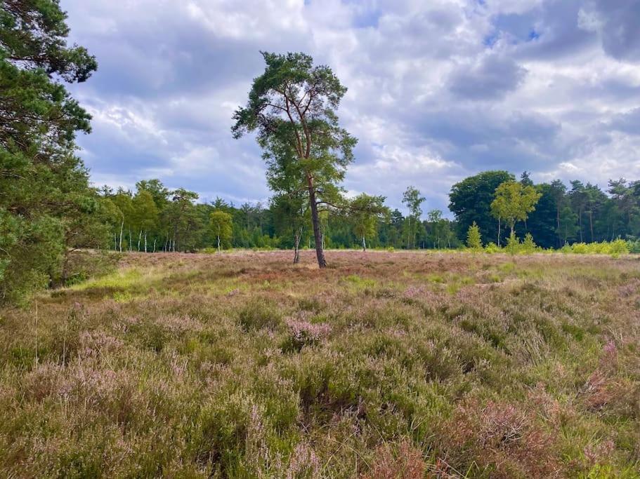 Knus Op Kindvriendelijk Park Met Zwembad Holiday home